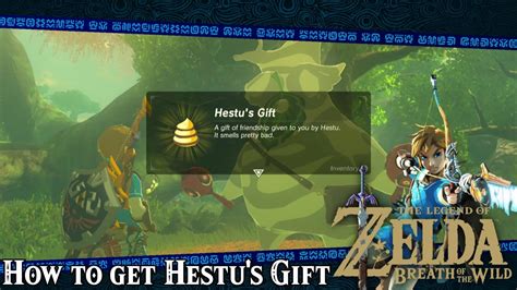 hestu's gift botw